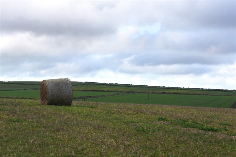 Needle in a Haystack- With miles upon miles of seemingly uninhibited land stretching in front of you, it's easy to feel as though your only companion is the ceaseless and powerful wind.