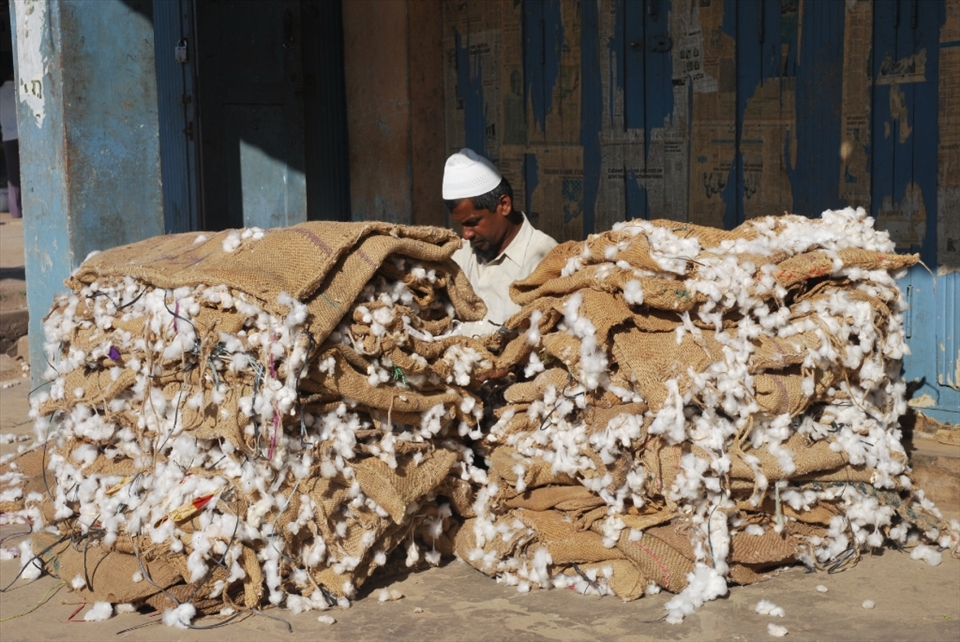 “Cotton a trap”.  Cotton is grown near the village of Saraguru and it is fairly common to see trucks overloaded with large bags of cotton passing through the streets.  Cotton is a very labor intensive crop and one of the local men said that many parents do not want their children to continue in farming. Instead, the children are encouraged to become doctors or engineers, where they can enjoy an easier life. Partly due to this, more and more people are moving away from the rural areas and farm owners are finding it increasingly harder to find labor to help run the farms.