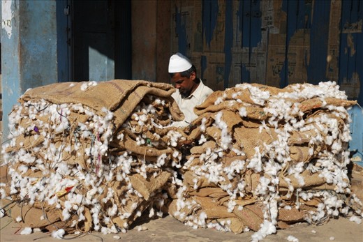 “Cotton a trap”. Cotton is grown near Saraguru and it is fairly common to see trucks overloaded with large bags of cotton passing through the narrow streets. Cotton is a very labor intensive crop and one of the local men said that many parents do not want their children to continue in farming. Instead, the children are encouraged to become doctors or engineers, where they can enjoy an easier life. Partly due to this, more and more people are moving away from the rural areas to find work in those fields and farm owners are finding it increasingly harder to find labor to help run the farms.