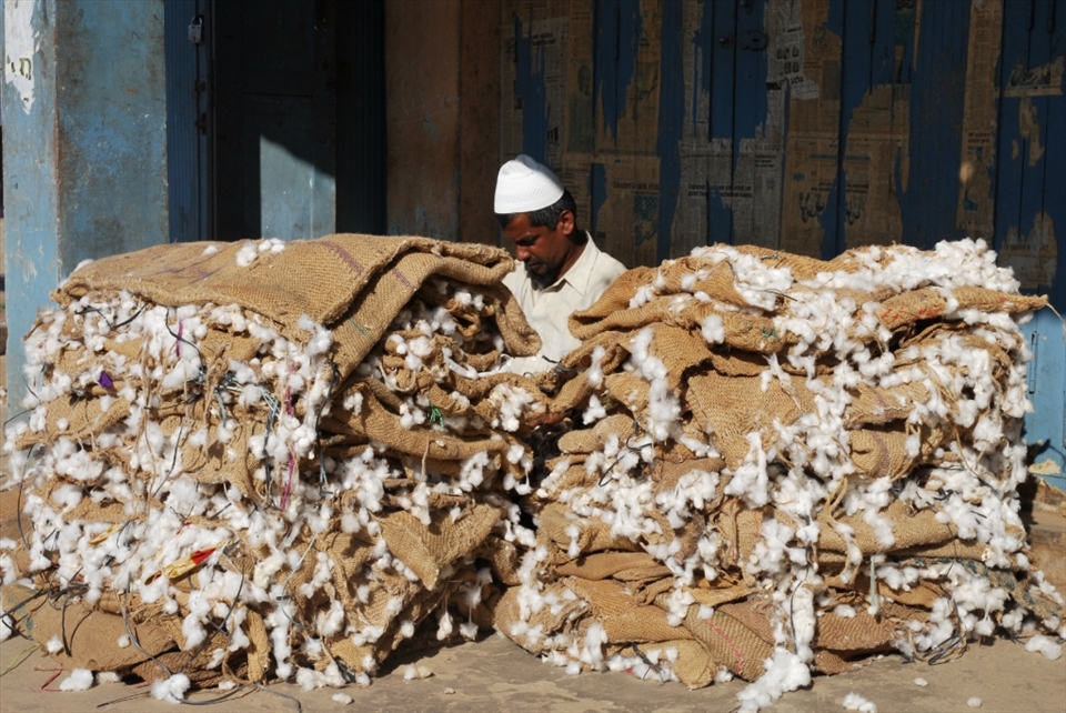 “Cotton a trap”. Cotton is grown near Saraguru and it is fairly common to see trucks overloaded with large bags of cotton passing through the narrow streets. Cotton is a very labor intensive crop and one of the local men said that many parents do not want their children to continue in farming. Instead, the children are encouraged to become doctors or engineers, where they can enjoy an easier life. Partly due to this, more and more people are moving away from the rural areas to find work in those fields and farm owners are finding it increasingly harder to find labor to help run the farms.