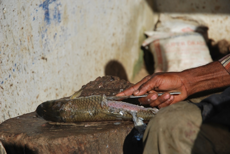“Fresh meat”.  Another shop keeper was weighing and sorting fish when we passed by. Like the other shop keepers we met, he was eager to share his work with us.  When we stopped to see what he was doing, he told us to wait and he would show us how he cleans and prepares the fish. His skilled hands didn’t hesitate as he peeled back the scales, pulled the head off and cut the meat into pieces to be sold.
