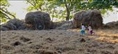 Yandabo girls running through hay field: by jbertke, Views[396]