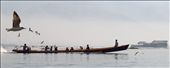 Local boat ferry on Inle Lake, feeding the birds: by jbertke, Views[331]