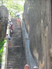 by jc_carpenter, Views[179]