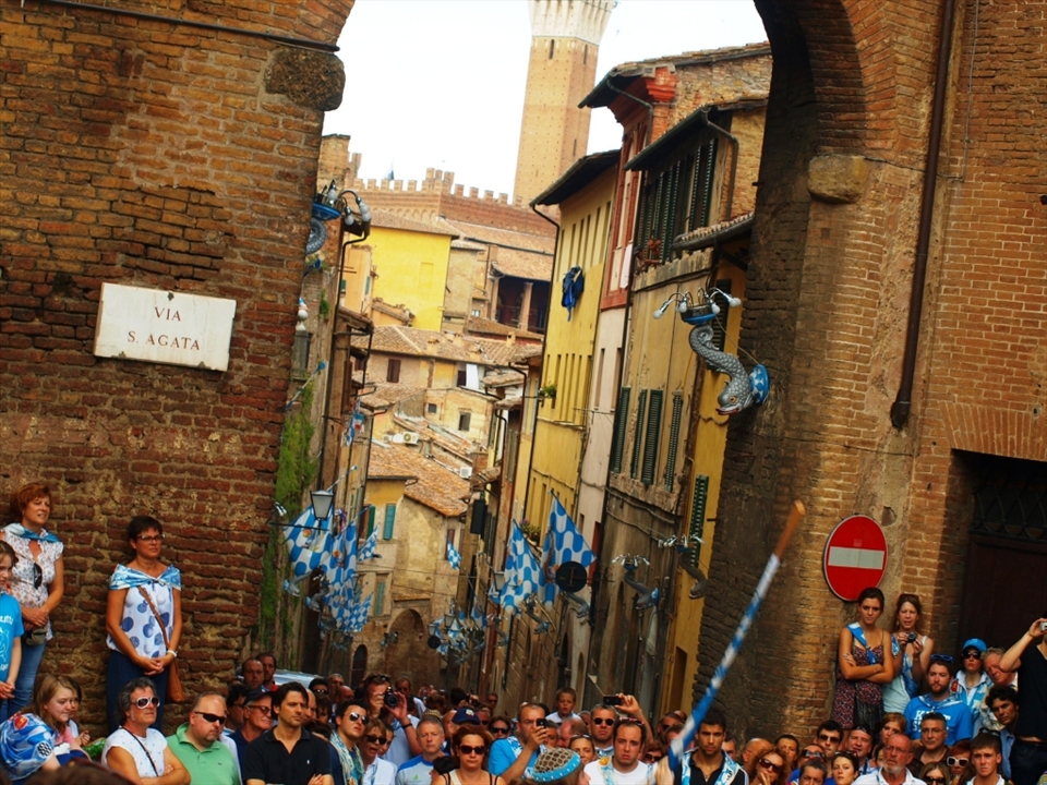 Palio di Siena, Italy. The locals call it 