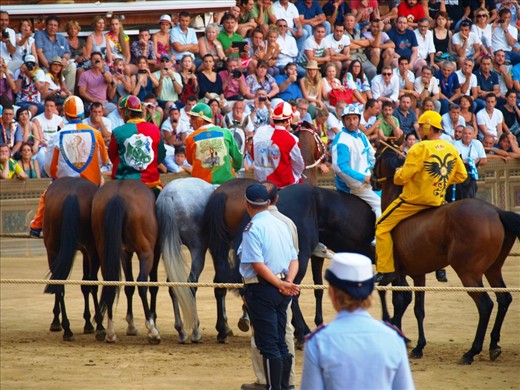 After hours of crowd pleasing marching parades and flag throwing the jockeys attempt to line the horses up on a rope to begin the race. One horse that faltered more than a few times was disqualified to the great disappointment of its contrada.