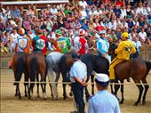 After hours of crowd pleasing marching parades and flag throwing the jockeys attempt to line the horses up on a rope to begin the race. One horse that faltered more than a few times was disqualified to the great disappointment of its contrada.: by jcaptured, Views[479]