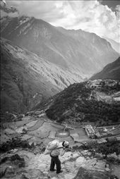 This is one of the many elderly female porters along the everest trail. She's carrying a 20 kilo sack of rice from Namche Bazaar to Tengboche, the next village on the way to base camp. It's a long 6 hour hike up a steep cliff side and then another long return trip home. : by jcrux, Views[521]