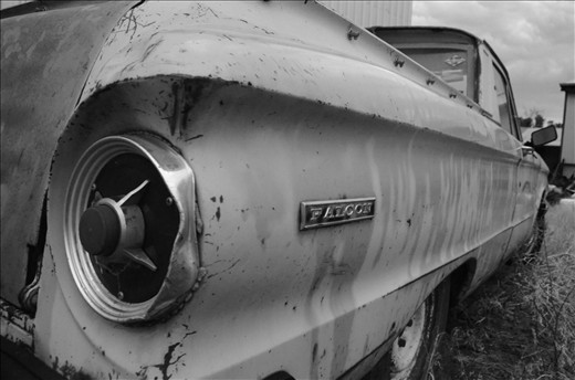 An Old Falcon Rests Awaiting the Next Generation of Drivers