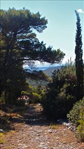 by jeanraphael, Views[298]