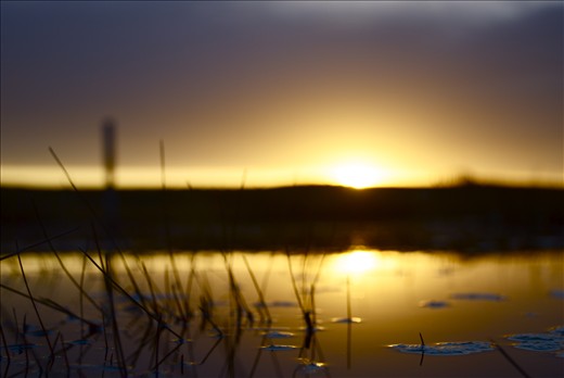 The beauty is in the uniqueness of creation, and every single different sunset. 