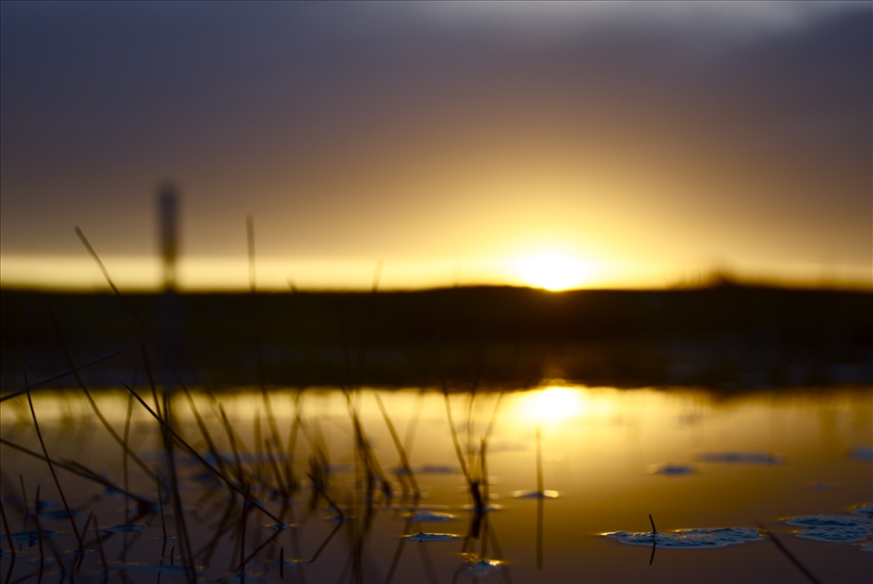 The beauty is in the uniqueness of creation, and every single different sunset. 