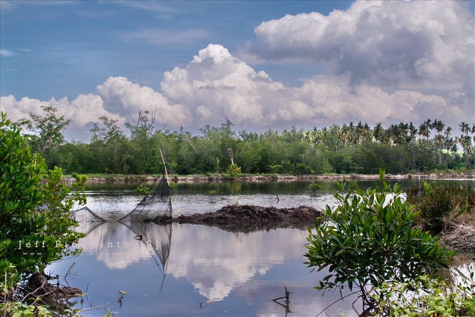 Abandoned fish pond at Samal Island, Philippines. 