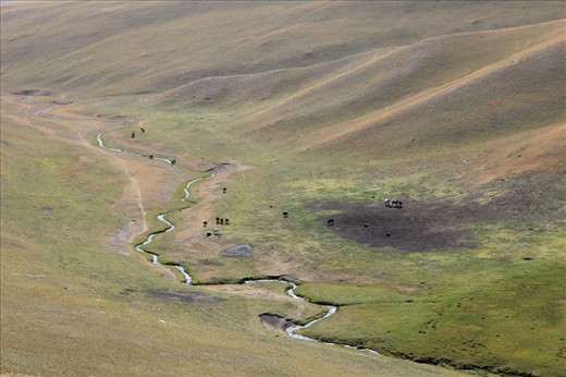 In search of the best grounds to graze on, families take their cattle to the highlands of the Kyrgyz mountain ranges. There, the best grazing areas are alongside various streams which are carving winding paths towards the valleys and lakes. The air is extremely dry, the sun can be unforgivably hot and there are hardly any places of shelter. Conditions are hard and sudden weather changes can be fatal as rock avalanches and landslides are not uncommon. 

Aside from the dangers, the usual scenery is breath taking in Kyrgyzstan. I genuinely wonder sometimes whether the Kyrgyz people themselves still notice this.   
