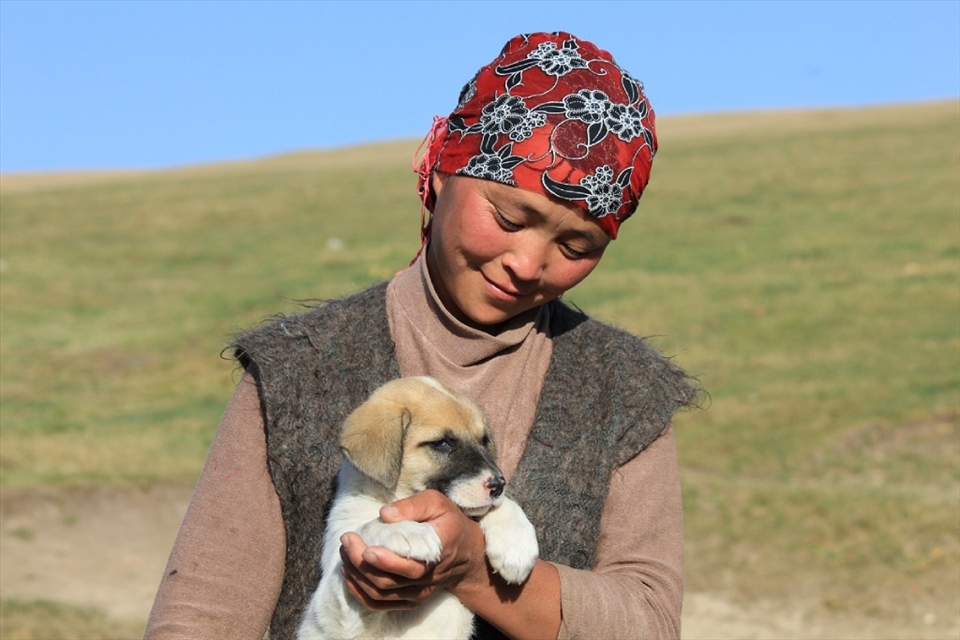Dogs are very important for herding the cattle over vast stretches of land. Herding however, is mainly a man’s job. The women do most of their work in and around the yurts. The daughter of a family living in a yurt in the highland area around Song-Kul lake, proudly shows one of their puppies. The pup will grow out to be an excellent cattle driver. 

In a way, the nomadic life seems hard and lonely at times. Perhaps this is the reason why animals are so loved in Kyrgyzstan.  
