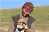 Dogs are very important for herding the cattle over vast stretches of land. Herding however, is mainly a man’s job. The women do most of their work in and around the yurts. The daughter of a family living in a yurt in the highland area around Song-Kul lake, proudly shows one of their puppies. The pup will grow out to be an excellent cattle driver. 

In a way, the nomadic life seems hard and lonely at times. Perhaps this is the reason why animals are so loved in Kyrgyzstan.  
: by jeftedebruin, Views[1057]