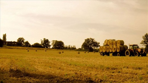 Harvest time as Autumn approaches 