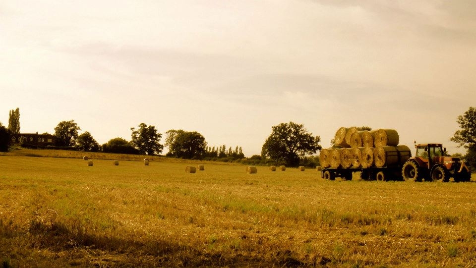 Harvest time as Autumn approaches 