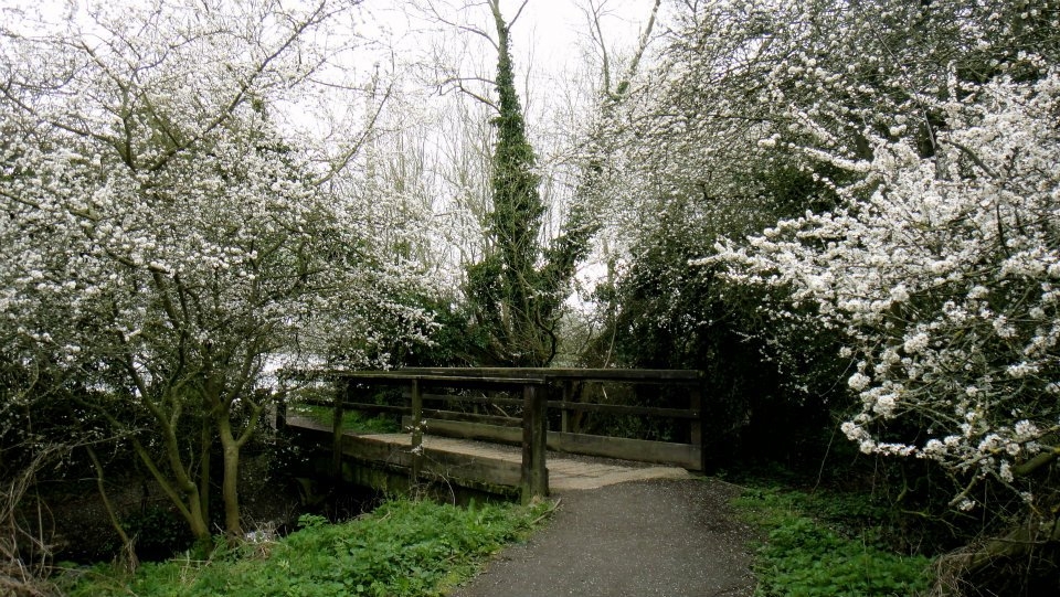 Winters beautiful show 