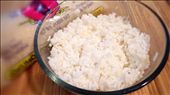 Cooked sushi rice.: by jellson, Views[553]