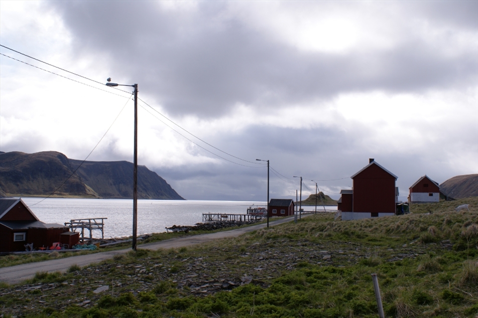 NORTH CAPE, NORWAY- Norwegian Cabins and their reindeer cattle