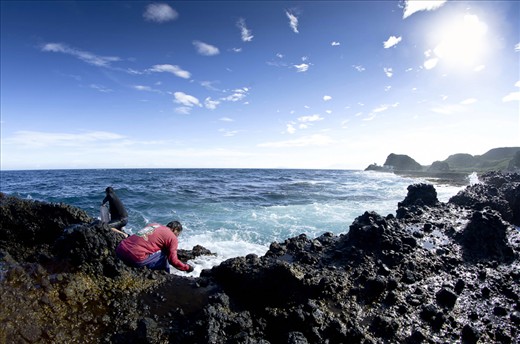 Gamet Gatherer of Burgos, Ilocos Norte in Philippines. a rare seaweeds that usually grows in this coast of Burgos. The area  so treacherous with slipper and sharp rocks, and giant waves slamming on them while picking.