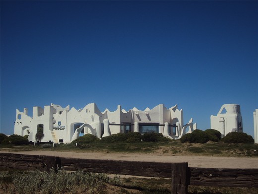 Cosmos on the Earth...