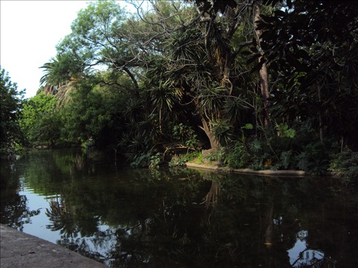 Jungles at the centre of Buenos Aires