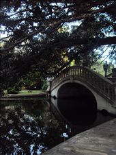 by jeniffercurtis, Views[178]