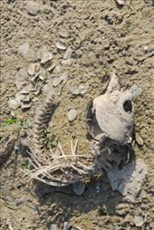 13: by jennamelisa, Views[134]