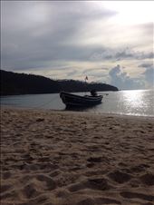 by jennapickell, Views[179]