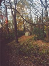 by jennareis, Views[161]