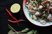 Laap Kai, Fresh Laos Chicken Salad : by jenniecranham, Views[361]
