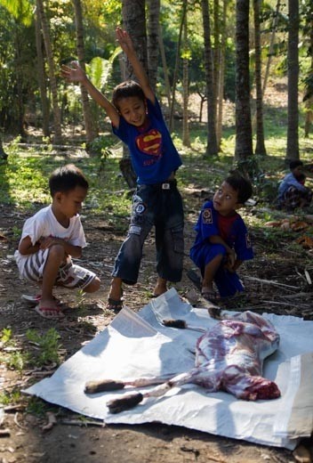 The children that first hid behind the bushes are now growing accustomed to the sights they are witnessing, showing more of an interest in the process, talking with one another, and even laughing and joking. In this image the young boy is mimicking the position of the previously hanging goat that is now laying out stretched on the ground. Adding a comical twist, the superman t-shirt he is wearing also gives an impression of him stretching out to fly. 