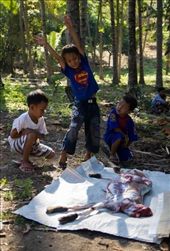The children that first hid behind the bushes are now growing accustomed to the sights they are witnessing, showing more of an interest in the process, talking with one another, and even laughing and joking. In this image the young boy is mimicking the position of the previously hanging goat that is now laying out stretched on the ground. Adding a comical twist, the superman t-shirt he is wearing also gives an impression of him stretching out to fly. : by jenniferallison, Views[804]