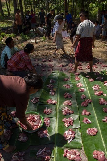 Every last piece of the sacrifices is cut up and divided equally into evenly sized piles, placed neatly in rows on palm leaves laid out on the ground. These are then allocated out to each of the families in the area. A careful watch is kept on this by a village elder who holds a list of names checked off as family members come to collect their share placed in black carrier bags. I was told that last year there had been more, donated by a wealthy individual.