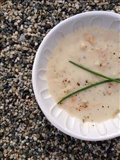 by jenniferbrott, Views[217]