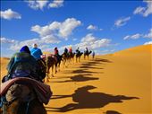 We rode camels into the desert and slept there, watching the sunset and sunrise!: by jenniferscamera, Views[253]