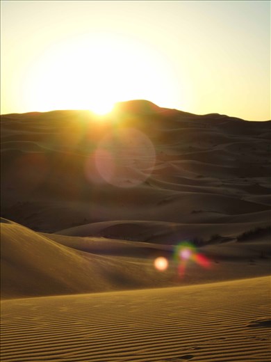 This is one of my favorite photos especially love the lens flare! 