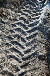 tread marks of the destructive machines : by jennypenny, Views[201]