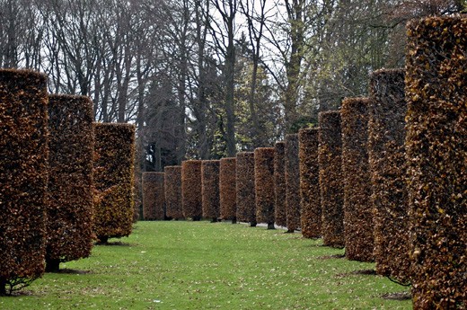 Atomium Gardens, Brussels, Belgium
On every country we can find amazing places that let our imagination fly away, Brussels, in Belgium, is not the exception.  While walking around the Atomium found this incredible garden that caught my eyes from the very first second I was there.  My first thought while standing in there was a beautiful history my grandma used to tell me and suddenly I was in the middle of the fairy tail, running around the bushes looking for the characters, capturing the moment in a shoot and waiting to have this image in my mind along with my grandma memory.