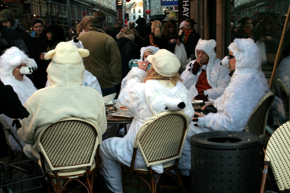During the COP 15 climate conference, a couple of polar bears decided to quench their thirst at a café.