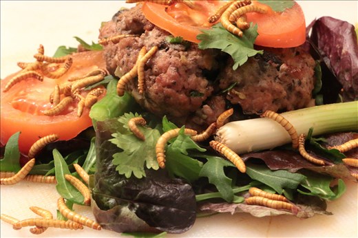 italian Bug Burger 