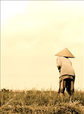 by jericafromamerica, Views[281]