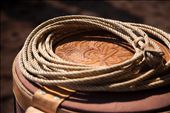 Details of the equipement : a hard rope well prepared to catch the bulls.: by jerome_godichon, Views[905]