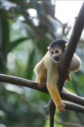 by jeronomo, Views[331]