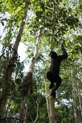 by jeronomo, Views[377]