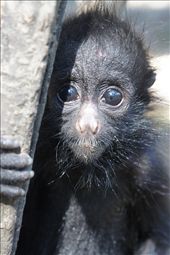 by jeronomo, Views[364]