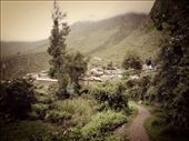 by jesjesco, Views[169]