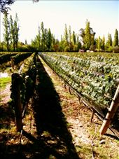 by jesjesco, Views[157]